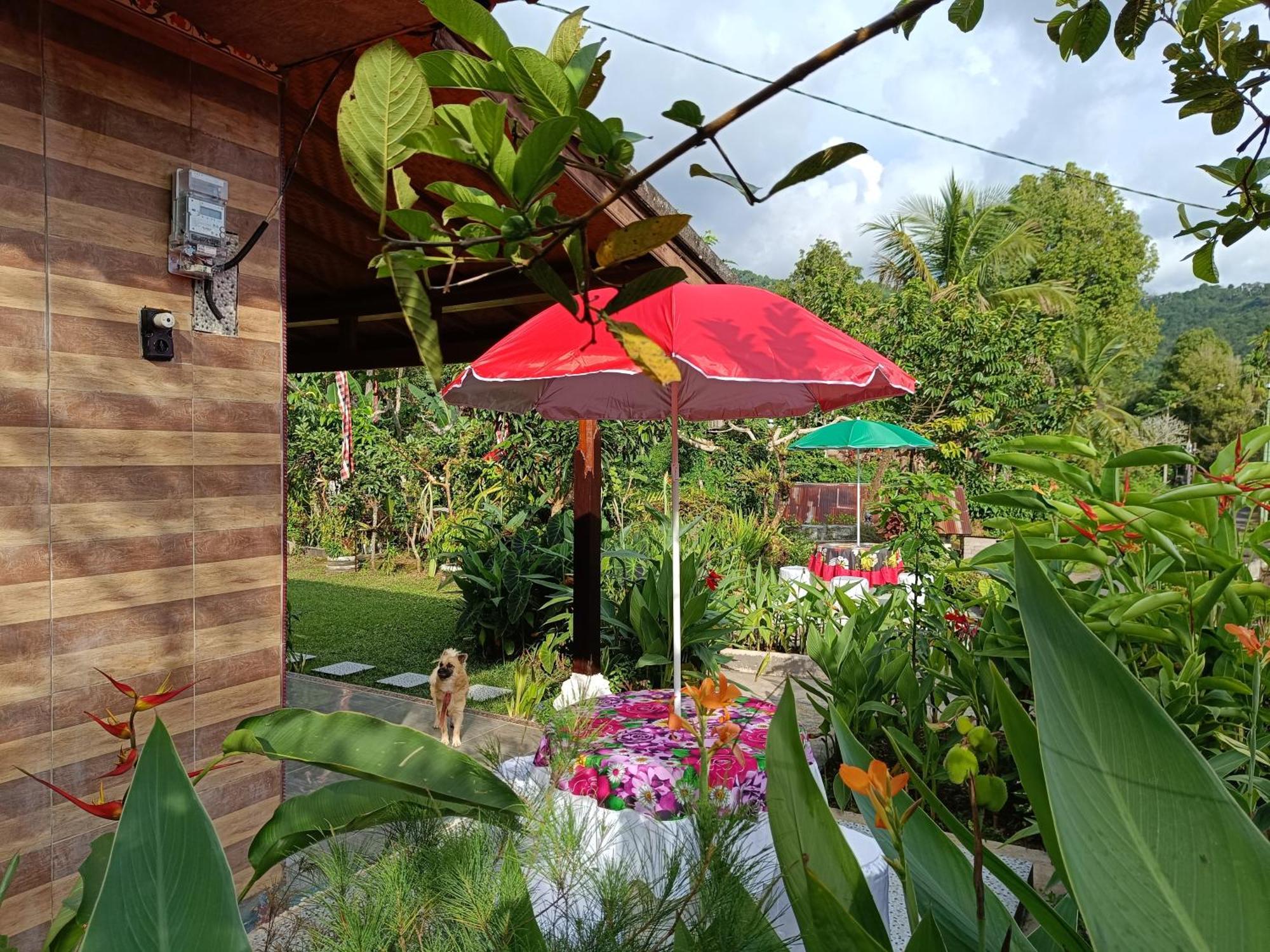 Апартаменты Gosela Bali Мундук Экстерьер фото